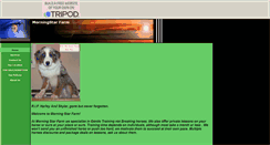 Desktop Screenshot of morningstarhorses.tripod.com
