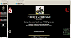 Desktop Screenshot of fiddlersgreenusa.tripod.com