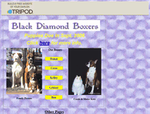 Tablet Screenshot of blackdiamond-boxers.tripod.com