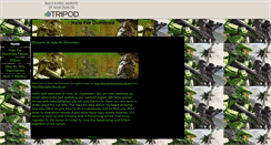 Desktop Screenshot of halofordummies.tripod.com