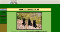 Desktop Screenshot of fabracken.tripod.com
