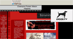 Desktop Screenshot of cfbcspanish.tripod.com