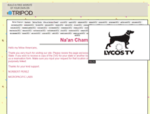 Tablet Screenshot of naanchamori.tripod.com