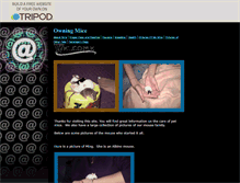 Tablet Screenshot of mousefamily235.tripod.com