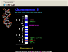 Tablet Screenshot of chromosome-5.tripod.com