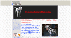 Desktop Screenshot of dalmatianrescuetampa.tripod.com