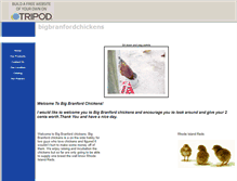 Tablet Screenshot of bigbranfordchickens.tripod.com