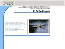 Tablet Screenshot of delfinrosado.pe.tripod.com