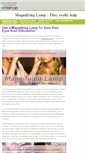 Mobile Screenshot of magnifyinglamp.tripod.com