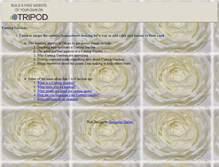 Tablet Screenshot of cuttinggarden2.tripod.com