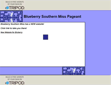 Tablet Screenshot of blueberrysouthernmiss.tripod.com