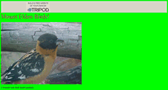 Desktop Screenshot of flagbird.tripod.com