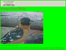 Tablet Screenshot of flagbird.tripod.com