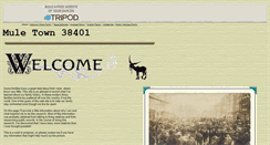 Desktop Screenshot of muletown38401.tripod.com