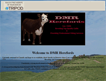 Tablet Screenshot of dmrherefords.tripod.com