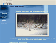 Tablet Screenshot of deerfeeder1.tripod.com