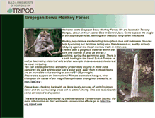 Tablet Screenshot of monkey-forest.tripod.com