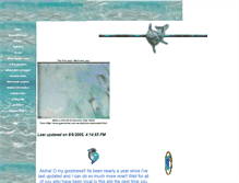 Tablet Screenshot of dolphins24-7.tripod.com