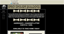 Desktop Screenshot of ohioenglishbulldogs.tripod.com