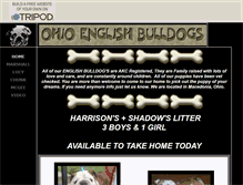 Tablet Screenshot of ohioenglishbulldogs.tripod.com