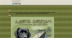 Desktop Screenshot of labsdream.tripod.com