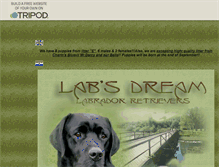 Tablet Screenshot of labsdream.tripod.com