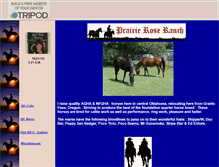 Tablet Screenshot of prairieroseranch1.tripod.com