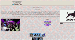 Desktop Screenshot of absterman.tripod.com