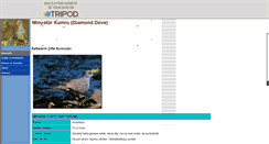 Desktop Screenshot of kumrucu.tripod.com