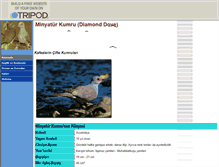 Tablet Screenshot of kumrucu.tripod.com