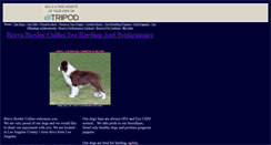 Desktop Screenshot of bravobordercollies.tripod.com