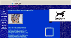 Desktop Screenshot of nordiesyorkies.tripod.com