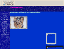 Tablet Screenshot of nordiesyorkies.tripod.com