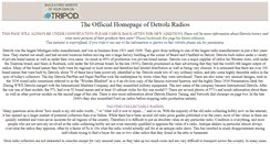 Desktop Screenshot of detrola.tripod.com