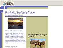 Tablet Screenshot of bucholtztrainingfarm.tripod.com