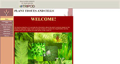 Desktop Screenshot of eima86.tripod.com