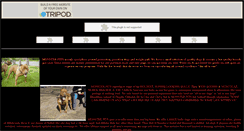 Desktop Screenshot of maribelcabreraprojec.tripod.com