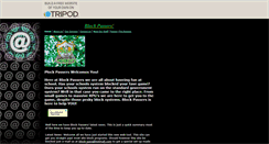 Desktop Screenshot of block-passers.tripod.com
